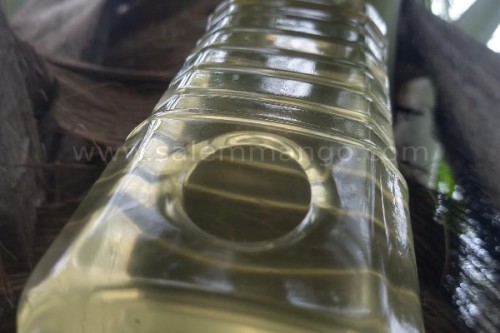 Pure Coconut oil producers in India